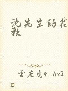 沈先生的花式调教