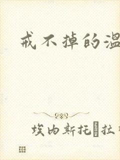戒不掉的温柔