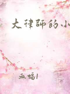 大律师的小老婆