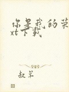 你是我的荣耀txt下载