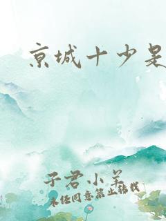 京城十少是谁