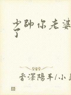 少帅你老婆又跑了