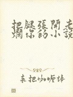 把腿张开老子臊烂你的小说