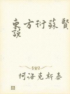 东方衍苏贤儿小说