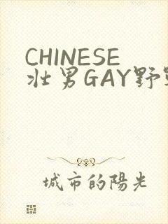 CHINESE壮男GAY野战强迫TUBE