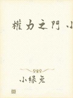 权力之门 小说