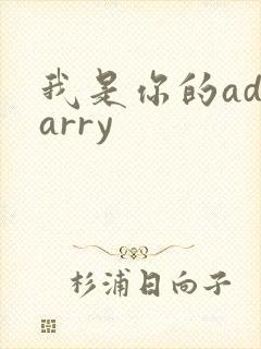 我是你的adcarry