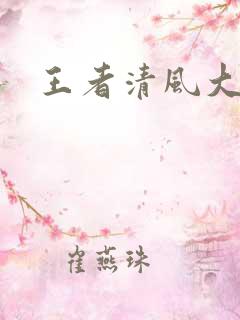王者清风大结局