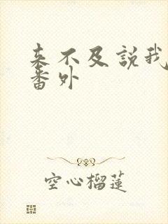 来不及说我爱你番外