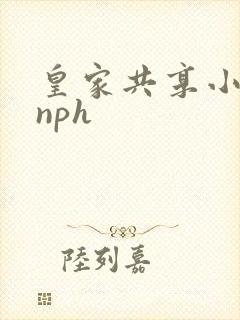 皇家共享小公主nph