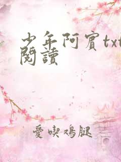 少年阿宾txt阅读