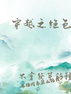 穿越之绝色王妃