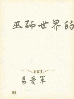 巫师世界的法师