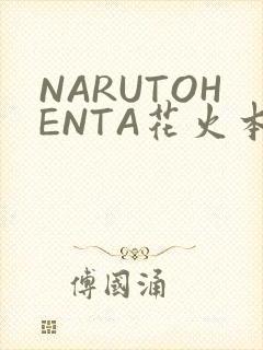 NARUTOHENTA花火本子