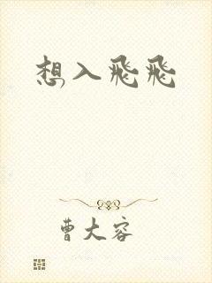 想入飞飞