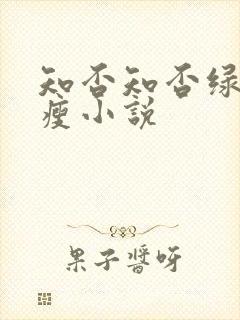 知否知否绿肥红瘦小说