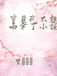 宝贝我不想带小雨伞了小说