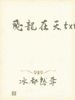 飞龙在天txt