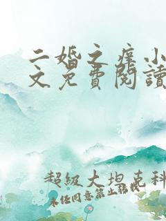 二婚之痒小说全文免费阅读