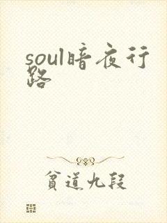 soul暗夜行路