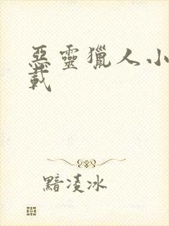 恶灵猎人小说下载