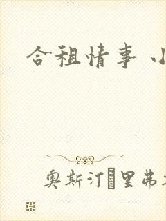 合租情事 小说