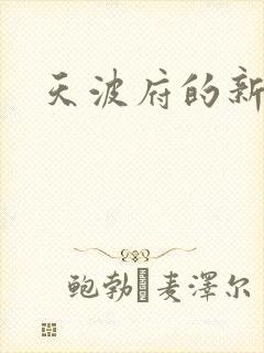 天波府的新姑爷