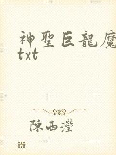 神圣巨龙魔法师txt