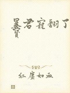 暴君宠翻了小娇宝