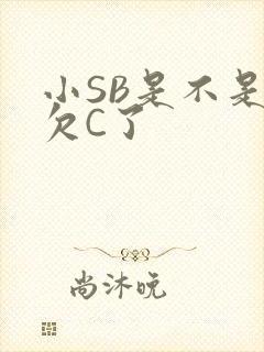 小SB是不是又欠C了