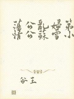 荡公乱妇第1章情公苏雪小说