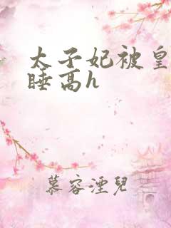 太子妃被皇上强睡高h