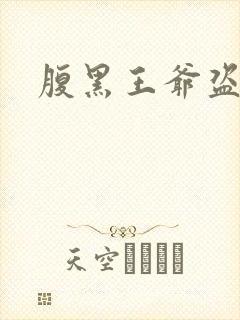 腹黑王爷盗墓妃