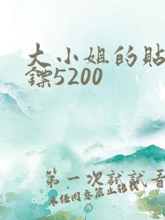 大小姐的贴身保镖5200