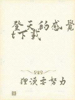 登天的感觉txt下载