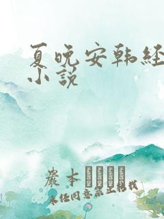 夏晚安韩经年的小说
