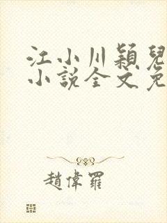 江小川颖儿穿越小说全文免费阅读