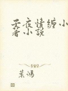 子夜情缠小说原著小说