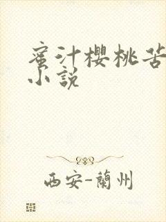 蜜汁樱桃苦咖啡小说