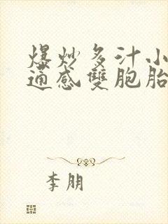 爆炒多汁小美人通感双胞胎燎锋