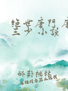 绝世唐门 唐家三少 小说
