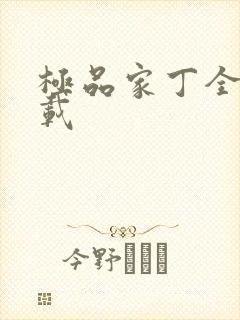 极品家丁全集下载