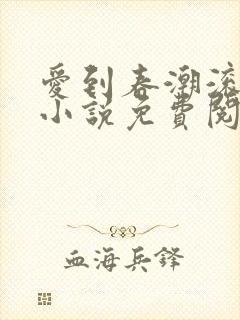 爱到春潮滚滚来小说免费阅读