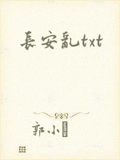 长安乱txt