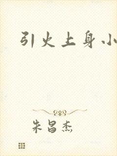 引火上身小说
