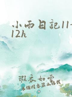 小雨日记11-12h