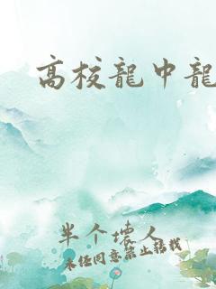 高校龙中龙全集