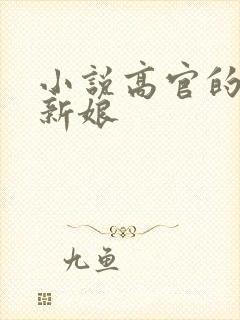 小说高官的暗夜新娘