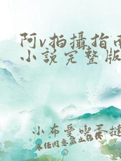 阿v拍摄指南说小说完整版