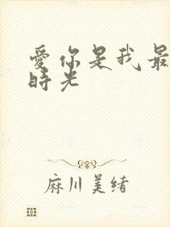爱你是我最好的时光